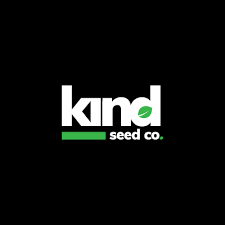 Cannabis Seeds Massachusetts Your Guide to Quality Seeds