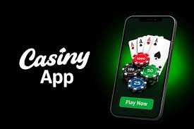 Discover the Exciting World of Casiny1 31
