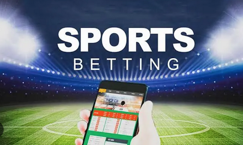 Everything You Need to Know About betwinner 12