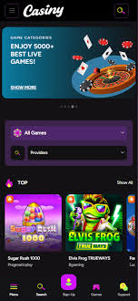 Explore the Latest Promotions with Casiny Bonus Codes Explore the Latest Promotions with Casiny Bonus Codes