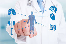 Die Pforce Team Innovation und Zusammenarbeit für Gesundheit