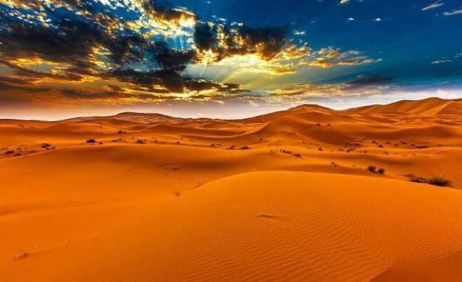 Desert Trip to the Sahara