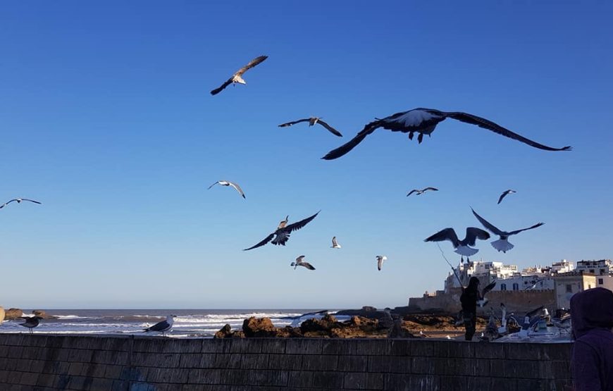 Essaouira Excursion